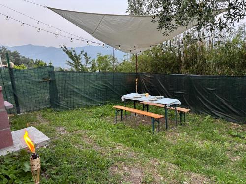 Een tuin van Casa Marri