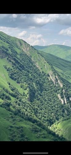 an aerial view of a green valley with trees at Shahdag Berghoff House in Qusar