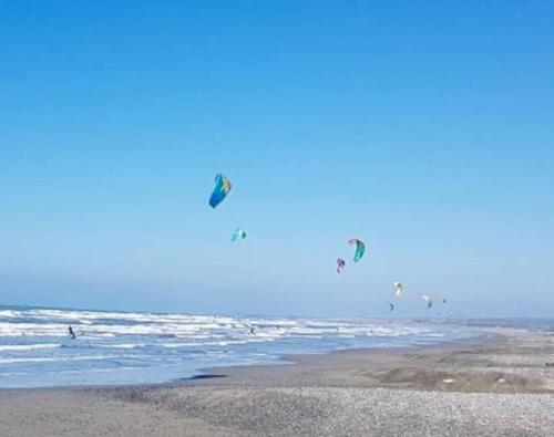 a group of people flying kites on the beach at Northern Cyprus, Trikomo, Iskele, Long Beach, Caesar Resort, 8 in Mağusa