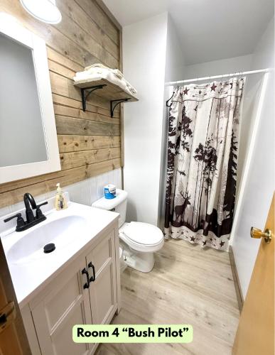 a bathroom with a toilet and a shower curtain at Lake Louise Lodge, Alaska in Glennallen