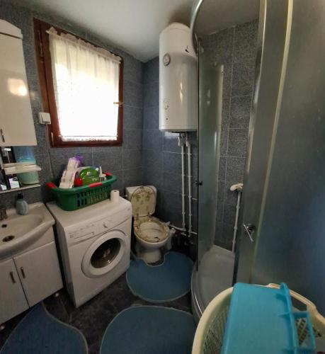a bathroom with a toilet and a washing machine at Vila Petrov in Lukavica