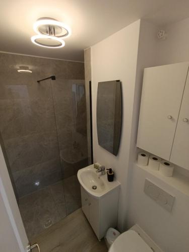 a bathroom with a shower and a toilet and a sink at Zlata Bucovina Apartment in Suceava