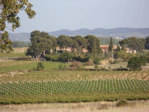 Domaine de Curatiès