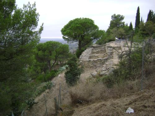 un chemin sur le côté d'une colline plantée d'arbres dans l'établissement Domaine de Curatiès, à Quarante