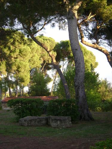 un parc avec un banc à côté d'un arbre dans l'établissement Domaine de Curatiès, à Quarante