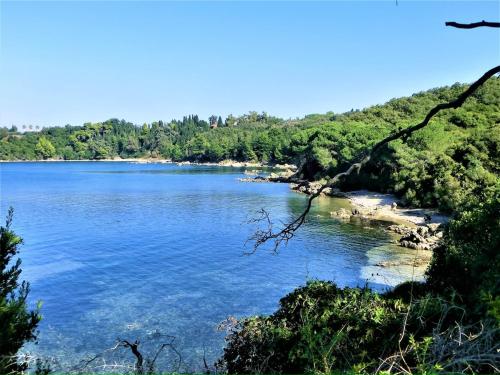 a view of a body of water with trees at Harmony Home in Pýrgos
