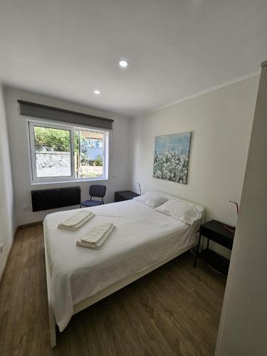 Apartamento Camões