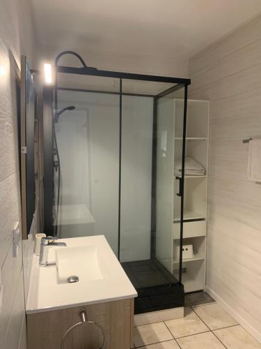 une salle de bain avec un lavabo et une douche en verre dans l'établissement Plage Le Lydia, au Barcarès