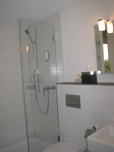 a bathroom with a shower and a toilet and a sink at Gasthof Löwen in Bubikon