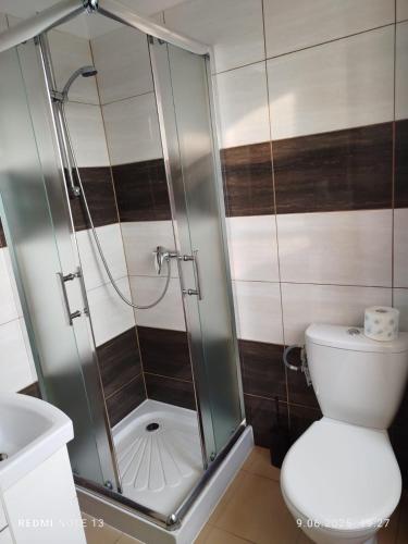 a bathroom with a shower and a toilet at Pokoje Karpacz in Karpacz