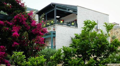 Κήπος έξω από το Vila Rina at Aquamarine Residence
