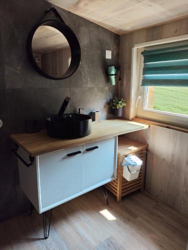 une salle de bain avec un lavabo et un miroir dans l'établissement Les abris de la hulotte, à Anould