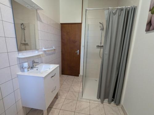 a bathroom with a shower and a sink and a mirror at Gîte confortable dans l'ancien presbytère de Futeau, 3 chambres, jardin, WiFi, entre Verdun et Châlons - FR-1-585-13 in Futeau