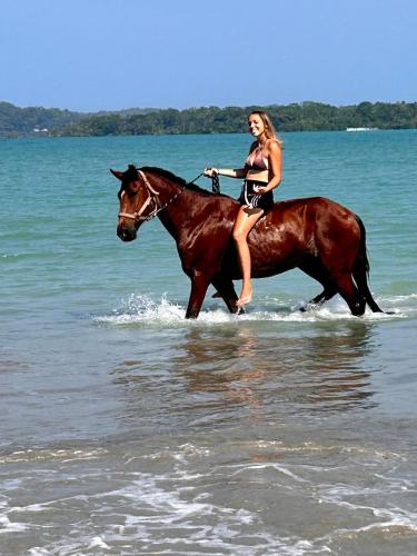 a woman in a bikini riding a horse in the water at Old Bocasso in Bocas del Toro