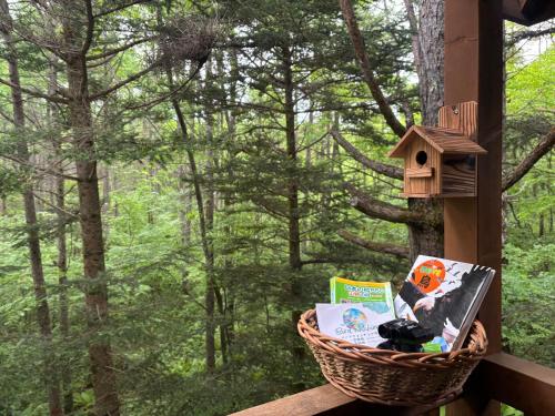 a basket of books and a bird house on a porch at Mountain villa 北軽井沢 in Tsumagoi