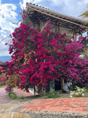 Jardín al aire libre en Macúa