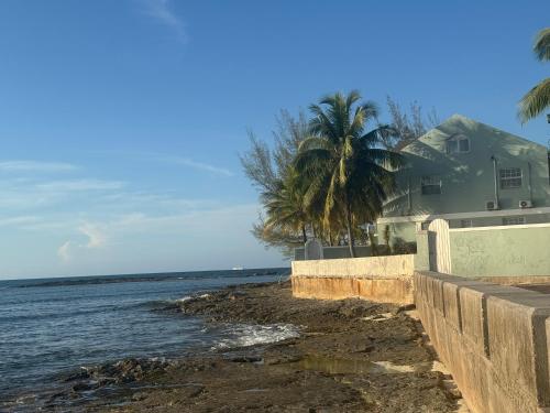 a house by the water with a palm tree at Sunset Cove - Vacation In Paradise! in Nassau