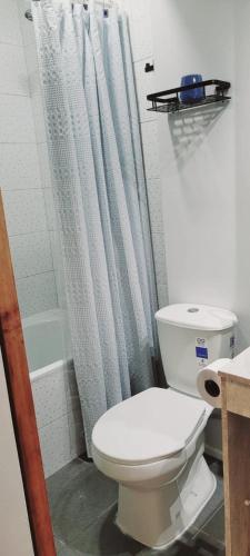 a bathroom with a toilet and a shower curtain at Apartamento Estocolmo IV in Valdivia