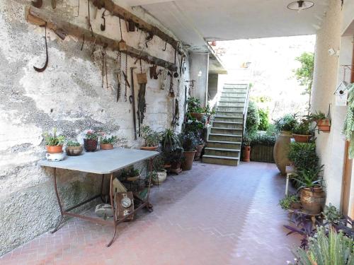 a room with a table with potted plants on it at La Margherita di Teriasca in Teriasca