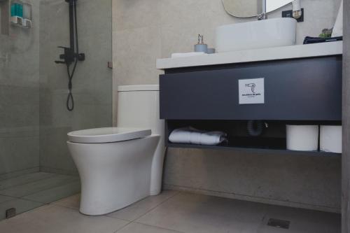 a bathroom with a toilet and a sink at Apartamento Santa Rita #5 cerca de restaurantes in Danlí