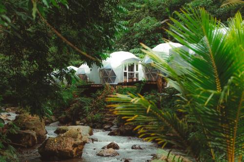 a house in the middle of a river with trees at Glamping tent in Pelaga Eco Park in Patjung