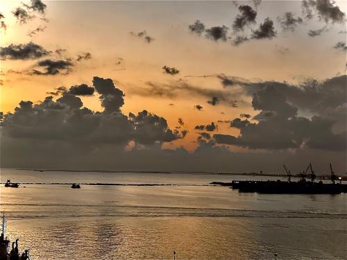 برج زيزينيا