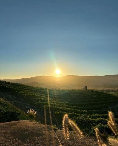 a field with the sun setting in the distance at Estancias Sierravita in Valle de Guadalupe