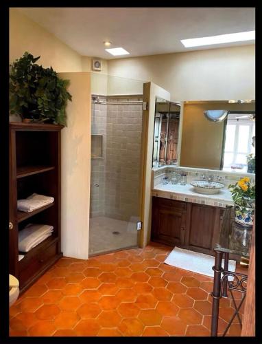a bathroom with a shower and a sink at Art and garden home in San Miguel de Allende