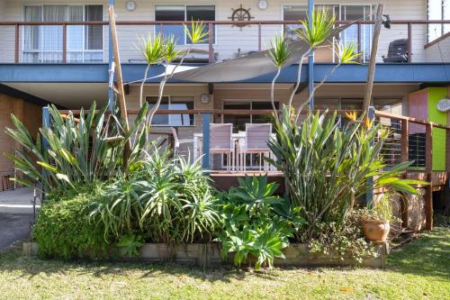 a group of plants in front of a house at Aqua Vincentia - Belle Escapes Jervis Bay in Vincentia
