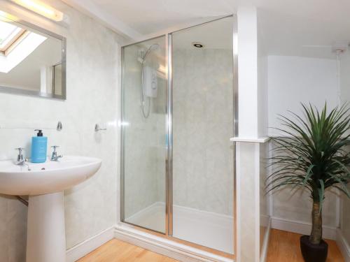 a bathroom with a shower and a sink at Nanvivian in Feock