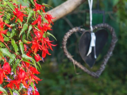 a heart hanging from a tree with red flowers at Haus Margarethe in Mörbisch am See