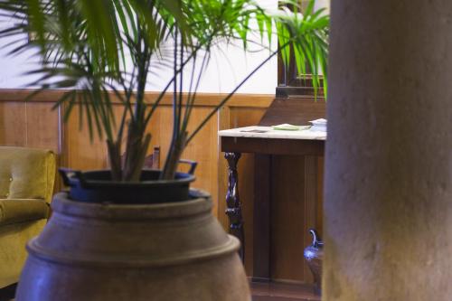 Fotografie z fotogalerie ubytování Albergo Stella v destinaci Casciana Terme