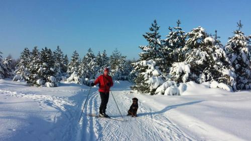 a person on skis with a dog in the snow at Chata Rosa in Klíny