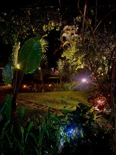 a garden at night with lights in the background at Homestay Chiangrai in Chiang Rai