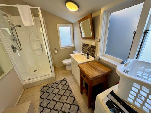 a bathroom with a shower and a sink and a toilet at 25 Leamington Street in Hanmer Springs