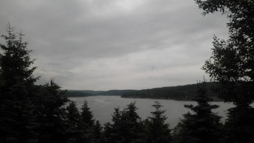 a view of a lake in the middle of trees at Chata Rosa in Klíny