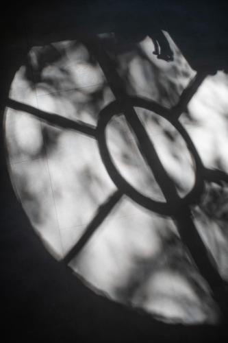 a close up of a shadow of a leaf at Paviljoen De Notelaer in Bornem