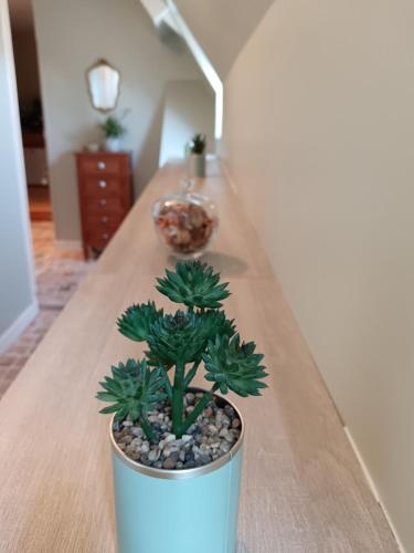 a potted plant sitting on top of a wooden table at Le Prieuré des Anges in Saint-Quentin-les-Anges