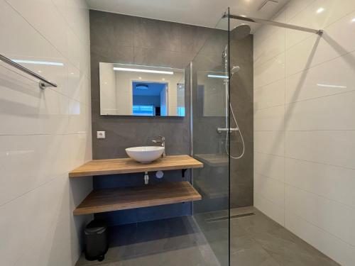 a bathroom with a sink and a glass shower at Familie appartement Katwijk aan zee 1 in Katwijk aan Zee