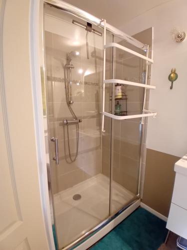 une douche avec une cabine en verre dans une salle de bain dans l'établissement Le Gîte du Lapin Bleu, à Baigneux-les-Juifs