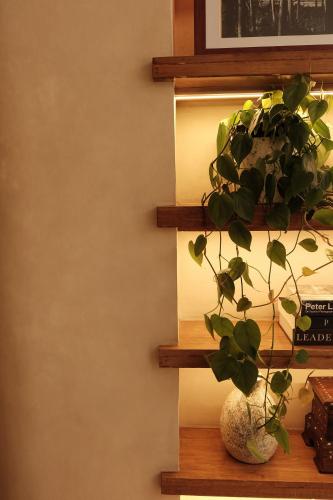 a plant in a vase sitting on a shelf at Casa Charlie B&B in Manila