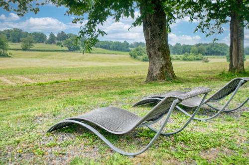 two empty chairs sitting in a field under a tree at La Chanconie in Chez le Turc