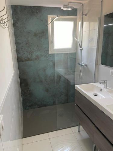 une salle de bain avec douche et lavabo dans l'établissement Entre Terre et Mer, à Palau-del-Vidre