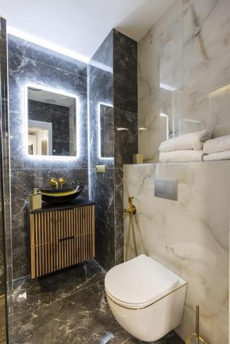 a bathroom with a toilet and a sink and a mirror at Hanza King Apartament 2 and SPA in Szczecin