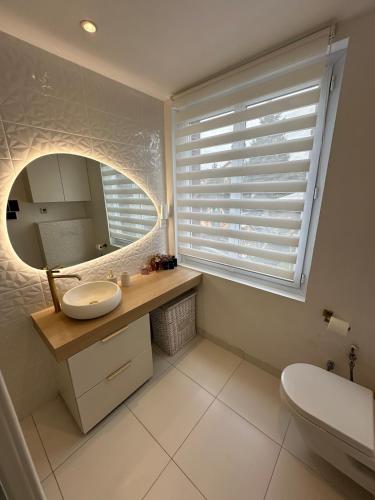 une salle de bain avec un lavabo et un miroir et des toilettes dans l'établissement Maison 1 chambre Jacuzzi Privé, à Savigny-sur-Orge
