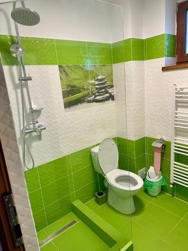 a green bathroom with a toilet and a shower at Lake House in Alexandru cel Bun