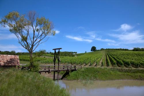 a wooden bridge over a river next to a vineyard at Stupnički Dvori Winery Hotel in Brodski Stupnik