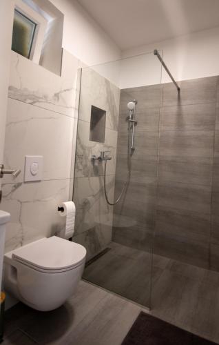 a bathroom with a toilet and a glass shower at Apartmani 3T in Blace