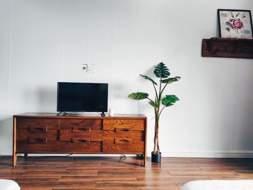 a television on a dresser with a potted plant on it at Roses Homestay- Venuestay in Tam Ðảo