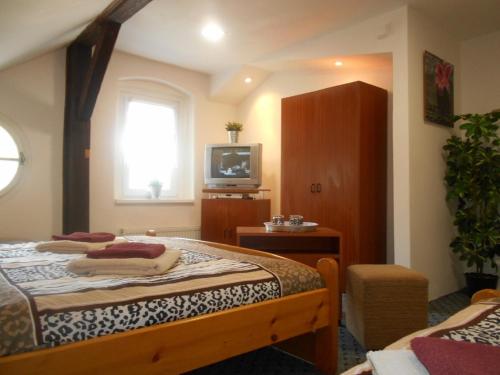 a bedroom with a bed and a tv and a window at Pension a Restaurant VESNA - České Švýcarsko in Srbská Kamenice